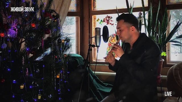 Живое исполнение песни у камина Андрей Щебуняев   Happy new year из репертуара группы abba