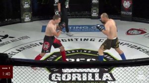 Contender series 2: Fights 15 - Berdigulyev vs Skolysh