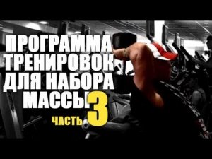 Набор мышечной массы программа тренировок 3 день
