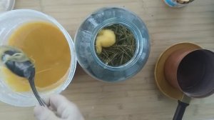 Хвойный квас? - продлевает жизнь в 2 раза! Секрет долголетия? Рецепт кваса. @IrinaLavande