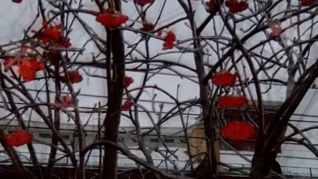 Канун Рождества на Октябрьском Поле смотреть онлайн