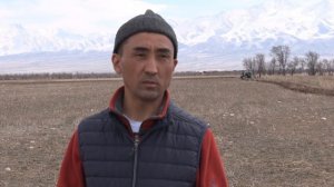 Фацелия эгип мол тушум алыныз | "Адистин Кеңеши" программасы