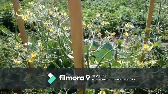 хорошо в деревне летом смотреть онлайн