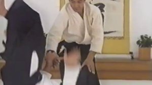 Moriteru Ueshiba volume 6