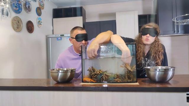 Достаем живых раков из аквариума/большие страшные раки/нас чуть не съели смотреть онлайн