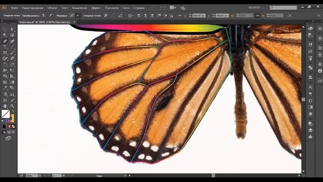 ?Как сделать в Иллюстраторе РАДУЖНУЮ БАБОЧКУ? Уроки по Иллюстратору на Aleks Online Kurs смотреть онлайн