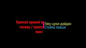 ДЖИУ-ДЖИТСУ ЯРОСЛАВЛЬ 7 КЮ СЕРЫЙ ПОЯС