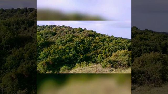 В Арките