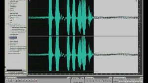 Adobe Audition 3.0. Обработка звука и удаление шума.