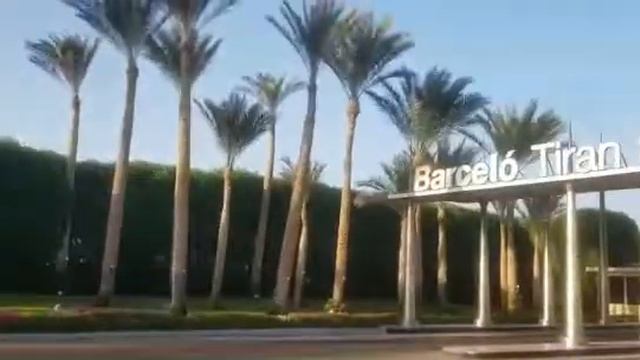 К русским туристам в Египте относятся хорошо. Боятся своих, что в предатели запишут. Шарм 04.10.22. смотреть онлайн