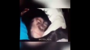 ержан вставай, на работу пора. мем