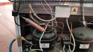 Ремонт холодильника Бирюса в Новосибирске