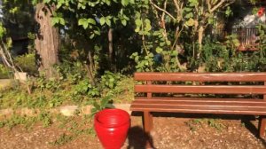 Обзор Отеля Летунья Фетхие.  Как будем развлекаться?