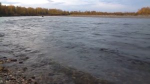 Катер Крым-водомёт с каютой