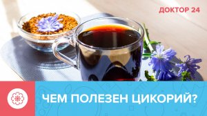 ЦИКОРИЙ: сколько нужно пить, чтобы похудеть? | Доктор 24