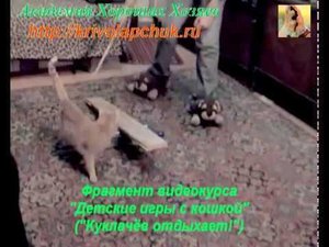Кот на качелях - фрагмент из "кошачьих игр"