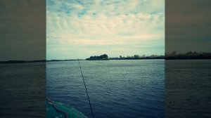 Рыбалка в Астрахани,Володарский район,р.Васильевская