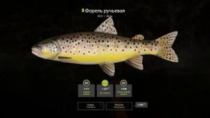 Русская Рыбалка 4 • Путь Спиннингиста #5 • Ловим на новую сборку для р. Белой • Driler