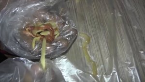 СОЛИТЁР ЖИВОЙ, эта мерзость живет рядом! Глисты в рыбе или удачная рыбалка!