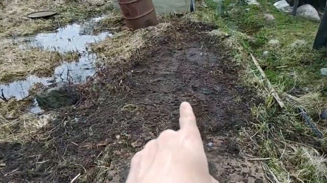 Бюджетный курятник своими руками | Дешевый курятник