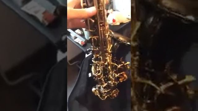 Саксофон альт Trevor James Classic II. смотреть онлайн