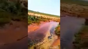 Черная АНАКОНДА в Таджикистане