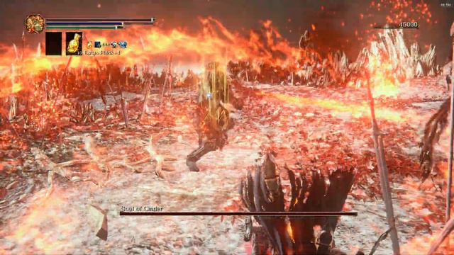 Soul of Cinder - Darksouls III Champions ashes mod