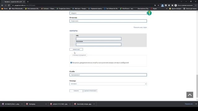 Редактирование профиля и привязка команды к проекту