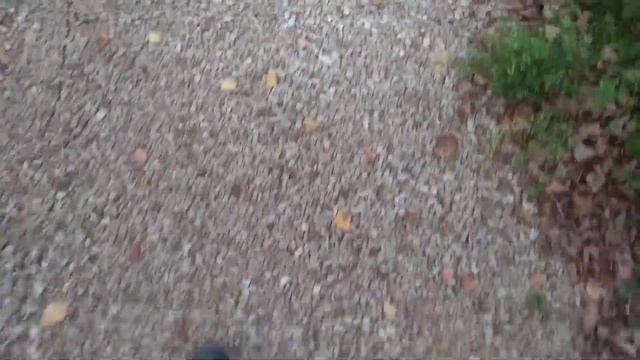 отличное место чтобы покататься на роликах. смотреть онлайн