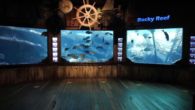 Explore our Durban Hotels смотреть онлайн