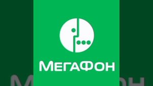 Оставьте сообщение на следующий момент вызванные номер занят (Мегафон)
