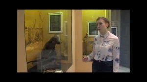 Вдохновение. Любопытное соседство  Сургутский краеведческий музей.mp4