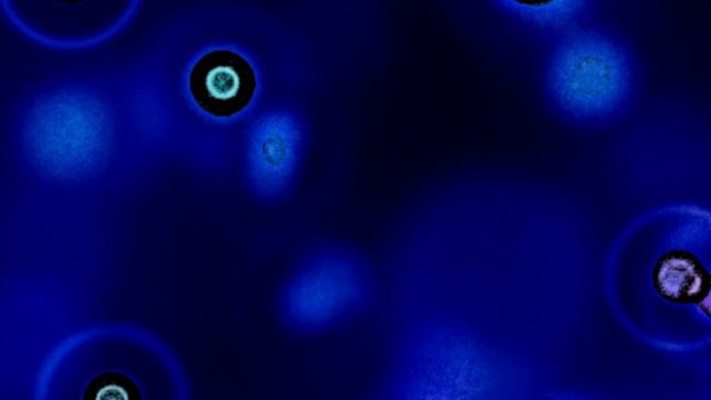 Entangled Mind. Audiovisual art - video art - ambient synthesisers смотреть онлайн