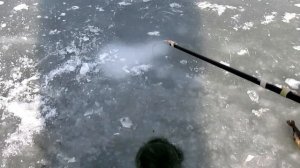 Ловля ротана по первому льду