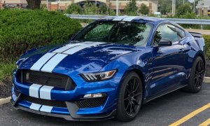 Shelby GT350