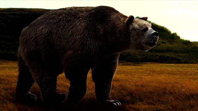 РАНДОМНАЯ ТРОИЦА(ЧАСТЬ 2) смотреть онлайн