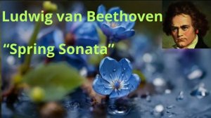 Beethoven. Classical music for study and work #classical music #relax