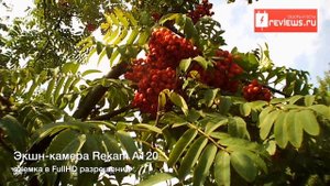 Rekam A120 съемка  при ярком солнечном свете