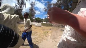 Cоветы в дорогу на Занзибар | Топ 5 самых опасных обитателей острова | что нельзя делать в Танзании