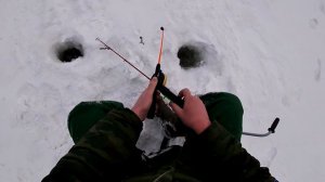 Утренний выход налима, две наживки, рыбалка на Волге.