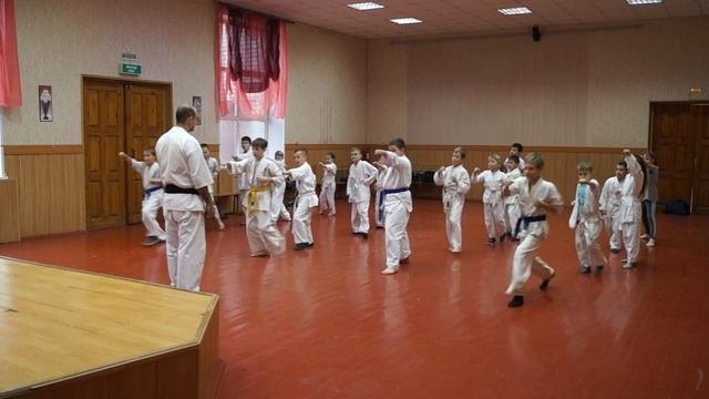 Онлайн видео урок занятий по карате (каратэ) 