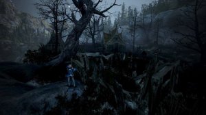 BDO Гайд Пещера Мари. Новая механика свитков удачи. Фарм серебра для новичков. Топ спот без агриса?