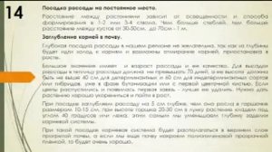 Фрагмент записи вебинара "БОЛЕЗНИ ТОМАТОВ. ПРАВИЛЬНЫЕ ПОДКОРМКИ. Томаты  Часть 3 Надежда Марценюк