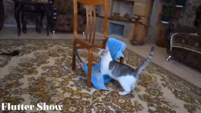 Смешное Видео А ну ка Давай ка - XD смотреть онлайн