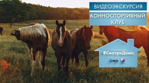 Конноспортивный клуб | Видеоэкскурсия