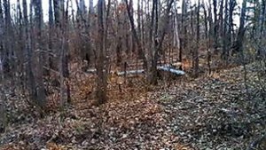 Санаторий Уссури пос Бычиха Хабаровск