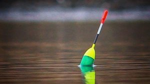 РЫБАЛКА С ПОПЛАВОЧНОЙ УДОЧКОЙ В РУКАХ