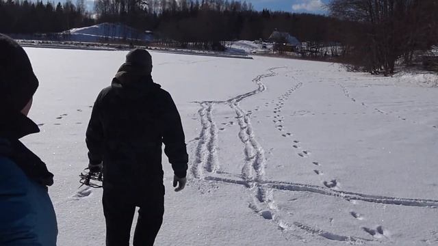 охота на выдру,форель форелевая ферма