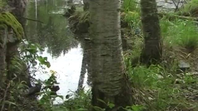 SAIMAA_САЙМА 3мин смотреть онлайн