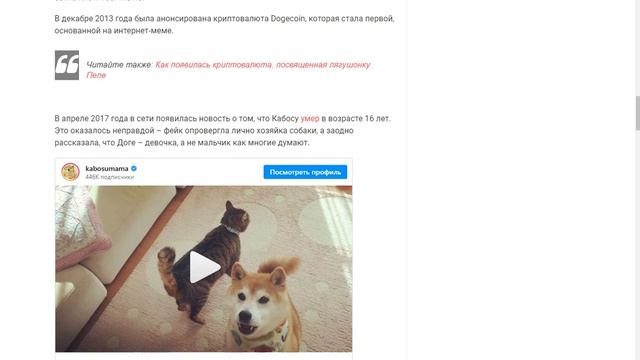 ДОГЕ - ИСТОРИЯ МЕМА